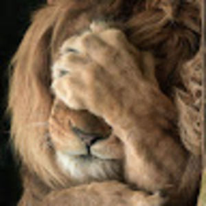 Meet your Posher, Barb